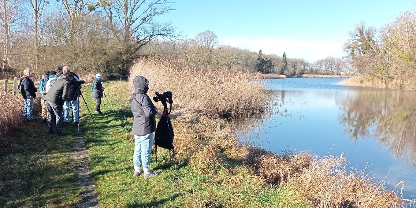 Randonnée ornithologique au Lac de Pincemaille (37)